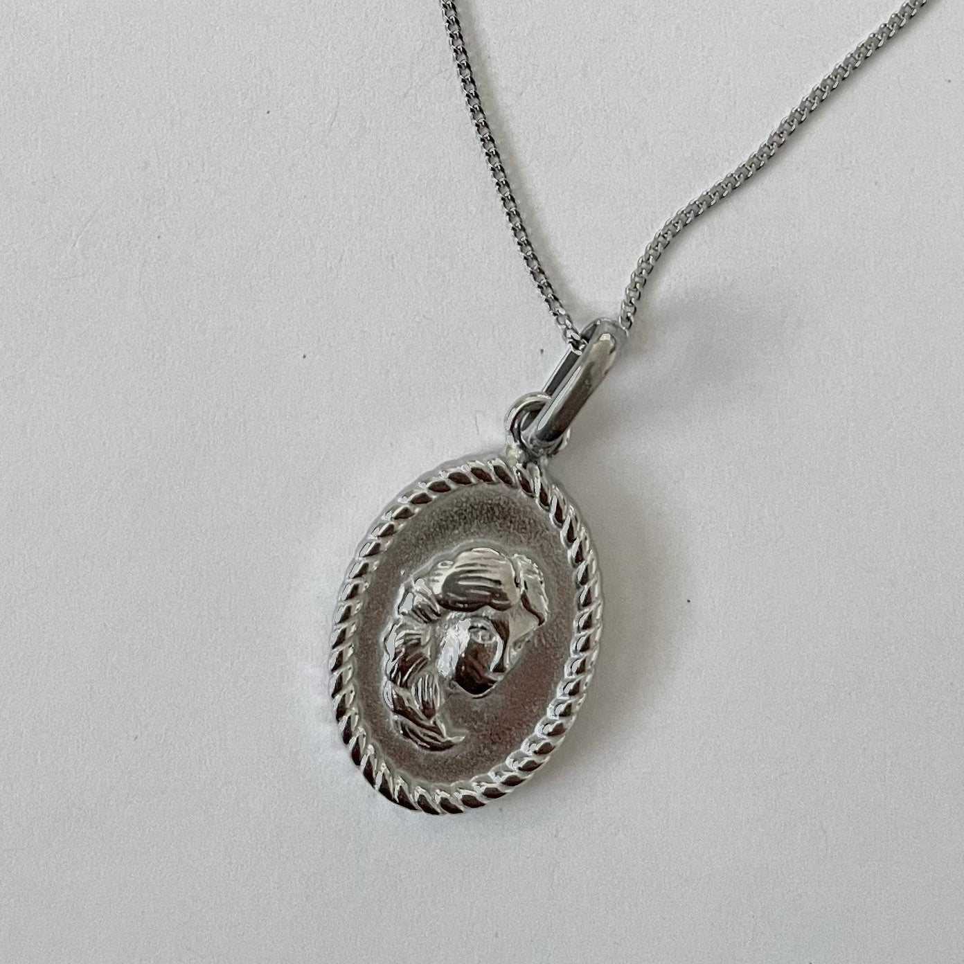 Zodiac Necklace - Silver