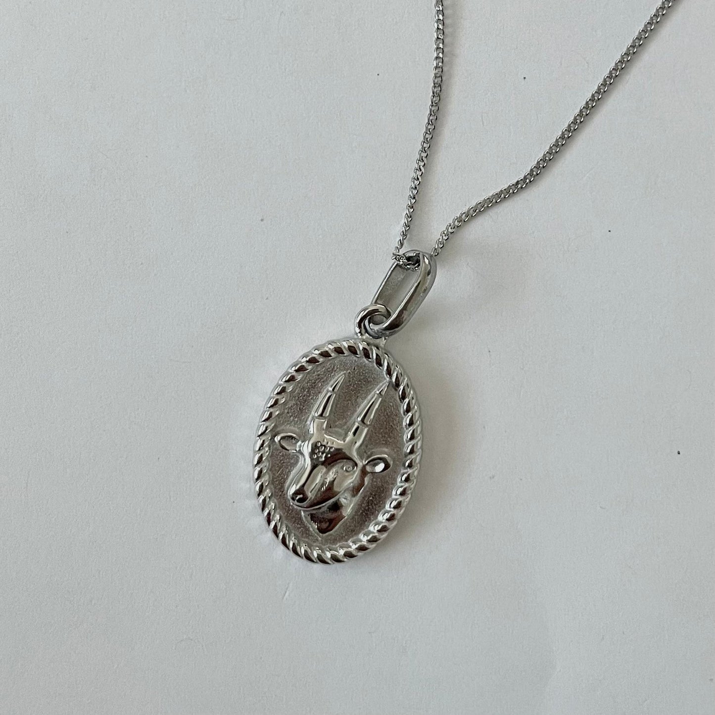 Zodiac Necklace - Silver